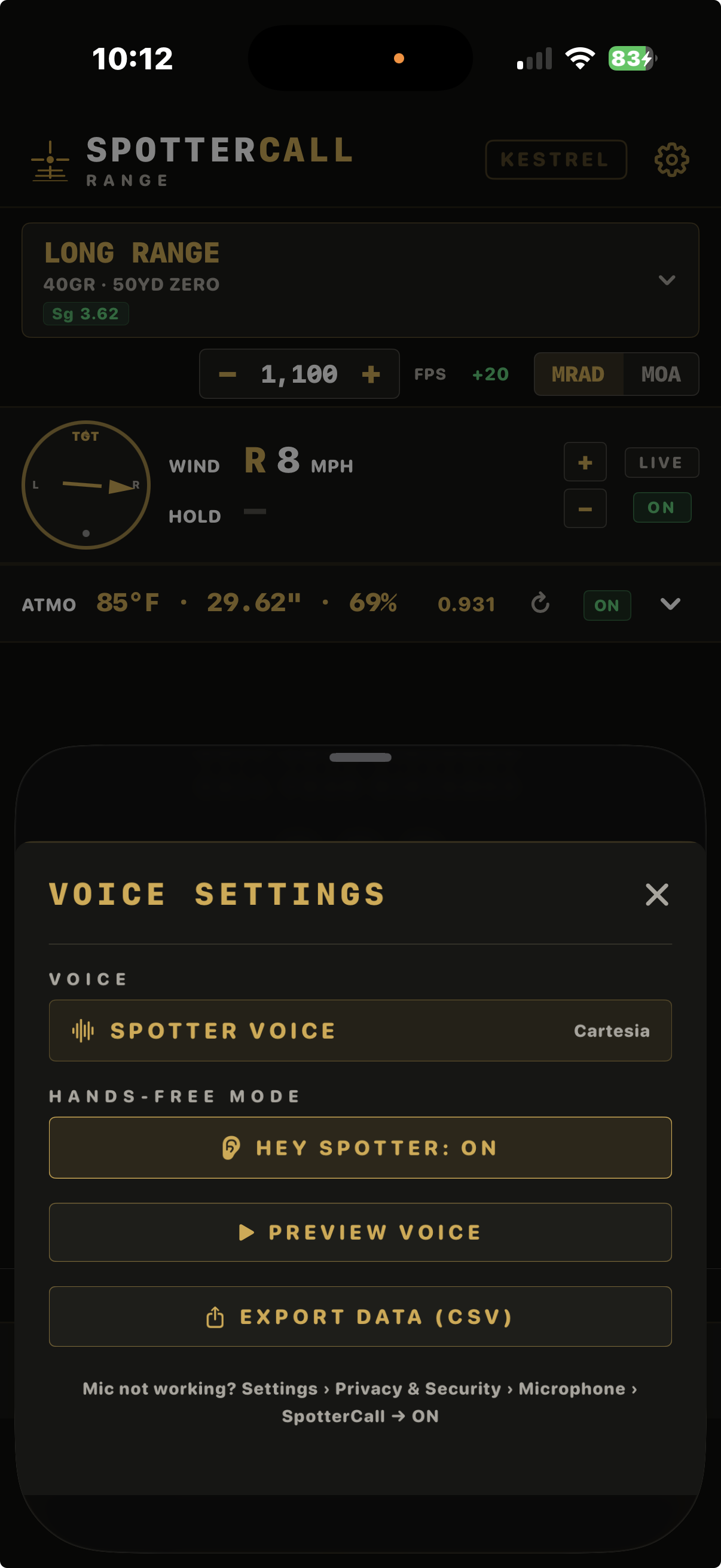 Voice settings